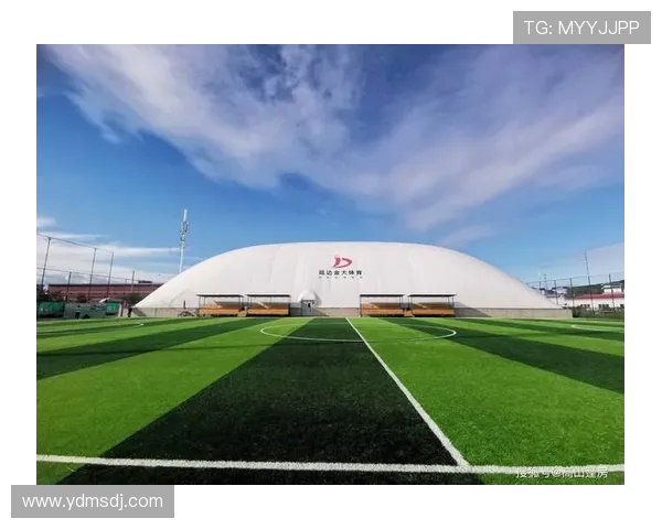 体育场馆在极端飓风天气的建筑结构稳定性